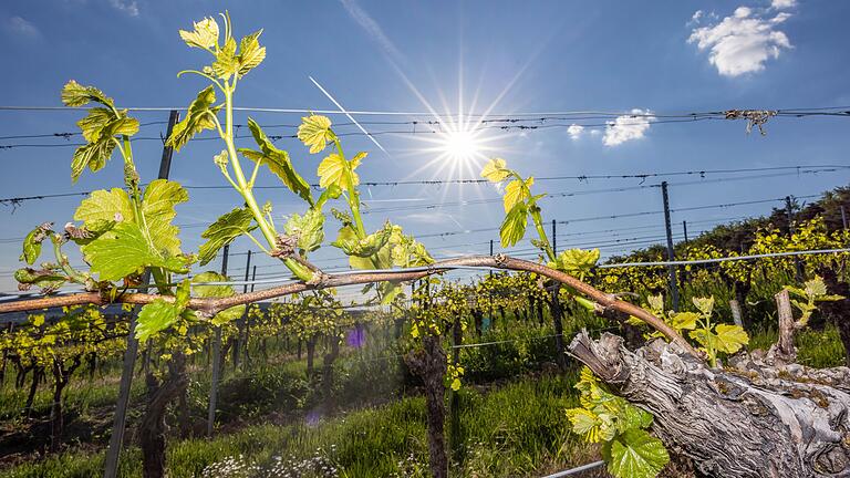 Die 30-Grad-Marke soll kommende Woche in Unterfranken geknackt werden. Doch es bleibt unbeständig.