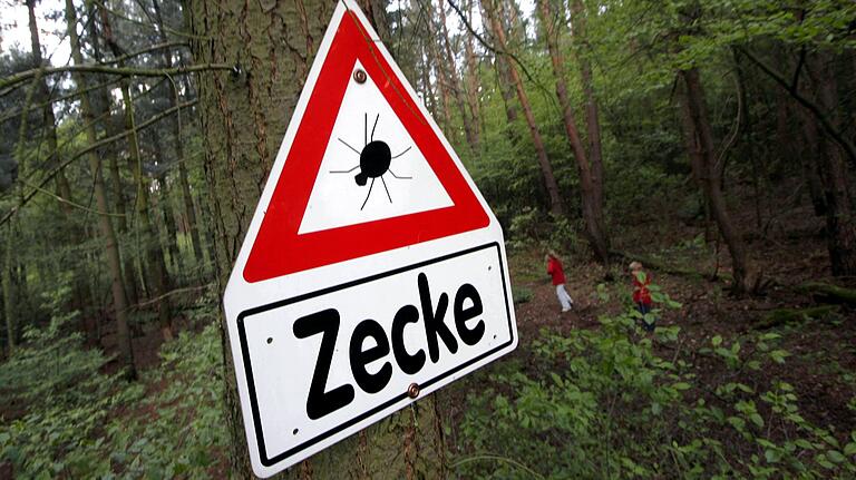 Große Teile Süddeutschlands sind FSME-Risikogebiete und beheimaten Zecken, die Frühsommer-Meningoenzephalitis übertragen können. Große Teile Süddeutschlands sind FSME-Risikogebiete und beheimaten Zecken, die Frühsommer-Meningoenzephalitis übertragen können. 