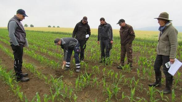 Gewässerschutzberaterin Gudrun Riedel (rechts) mit Teilnehmern des Praxistags des Amtes für Ernährung, Landwirtschaft und Forsten Uffenheim.