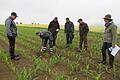 Gewässerschutzberaterin Gudrun Riedel (rechts) mit Teilnehmern des Praxistags des Amtes für Ernährung, Landwirtschaft und Forsten Uffenheim.