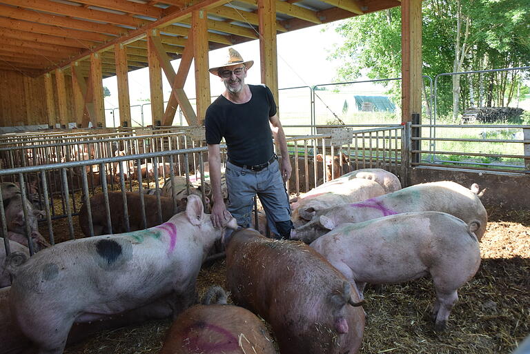 Die 'Stroh-Schweine' von Arnold Lurz besitzen schon einen höheren Qualitätsstandart, weshalb der Landwirt die Pläne des Landwirtschaftsministers im Gegensatz zu Berufskollegen für gut heißt. Die 'Stroh-Schweine' von Arnold Lurz besitzen schon einen höheren Qualitätsstandart, weshalb der Landwirt die Pläne des Landwirtschaftsministers im Gegensatz zu Berufskollegen für gut heißt.