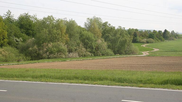 Die Mainbernheimer Gemarkung reicht bis auf die Willenzheimer Seite des Bahndamms. Dort sollen die Grün- und Heckenflächen im Bild samt einer Wiese verschwinden weil die Stadt Mainbernheim ein Sondergebiet für eine Freiflächen-Photovolktaikanlage ausweisen will, was der Willanzheimer Gemeinderat ablehnt.