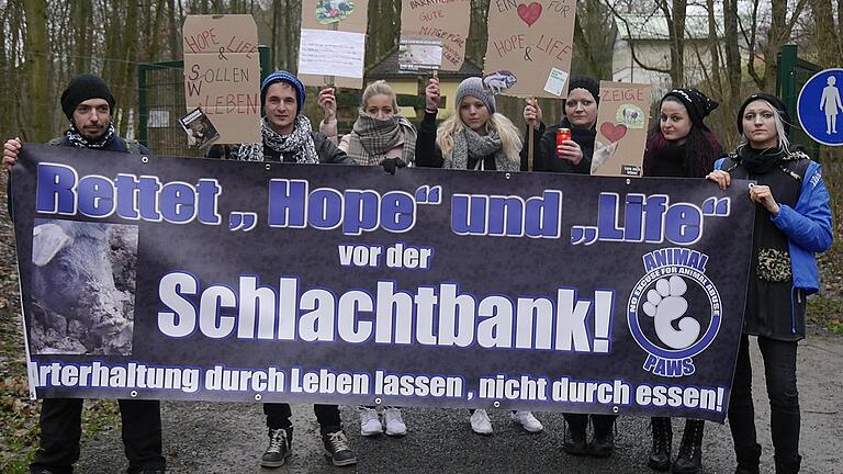 Das Schicksal der beiden schwäbisch-hällischen Landschweine ist ihnen nicht Wurst: Am Samstag gab es eine Mahnwache von Tierschützern am Wildpark.