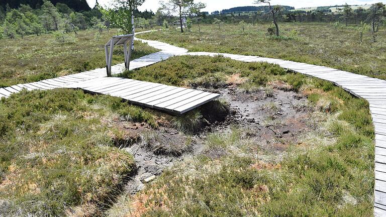 Die Folgen des Klimawandels machen sich längst auch im Biosphärenreservat Rhön bemerkbar – wie im Schwarzen Moor, das unter den extremen Hitze- und Trockenperioden der vergangenen Sommer gelitten hat. Die Folgen des Klimawandels machen sich längst auch im Biosphärenreservat Rhön bemerkbar – wie im Schwarzen Moor, das unter den extremen Hitze- und Trockenperioden der vergangenen Sommer gelitten hat.