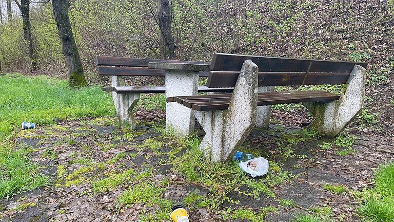 Achtlos weggeworfener Abfall auf Parkplätzen vermiest die Freude am Picknick. Foto: Benjamin Schießer       -  Achtlos weggeworfener Abfall auf Parkplätzen vermiest die Freude am Picknick. Foto: Benjamin Schießer