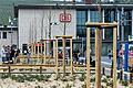 Zehn Ulmen stehen jetzt am Würzburger Bahnhofsvorplatz.&nbsp;