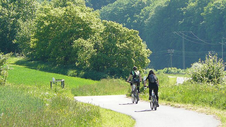 Auf dem Saaletalradweg zwischen Schönau und Wolfsmünster: Der Landkreis will die Radwege in Main-Spessart besser vernetzen (Symbolfoto).