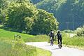 Auf dem Saaletalradweg zwischen Schönau und Wolfsmünster: Der Landkreis will die Radwege in Main-Spessart besser vernetzen (Symbolfoto).