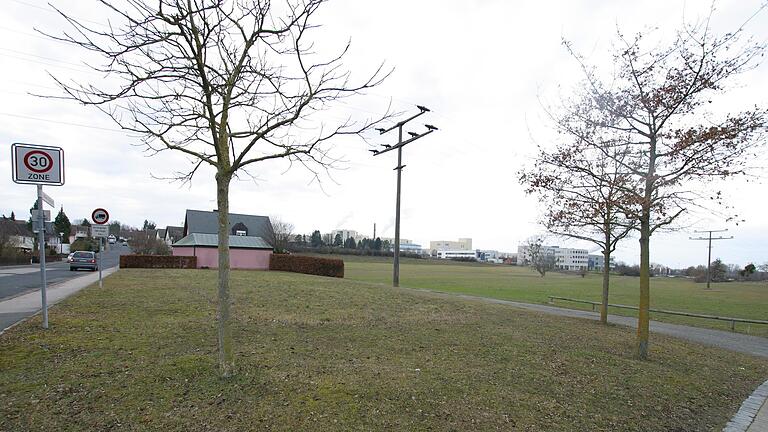 Wenn die Stromleitung demnächst abgebaut ist, soll das schmale Grundstück am Stadtgraben West in Iphofen für ein zweigeschossiges Wohnhaus zur Verfügung stehen. Wenn die Stromleitung demnächst abgebaut ist, soll das schmale Grundstück am Stadtgraben West in Iphofen für ein zweigeschossiges Wohnhaus zur Verfügung stehen.