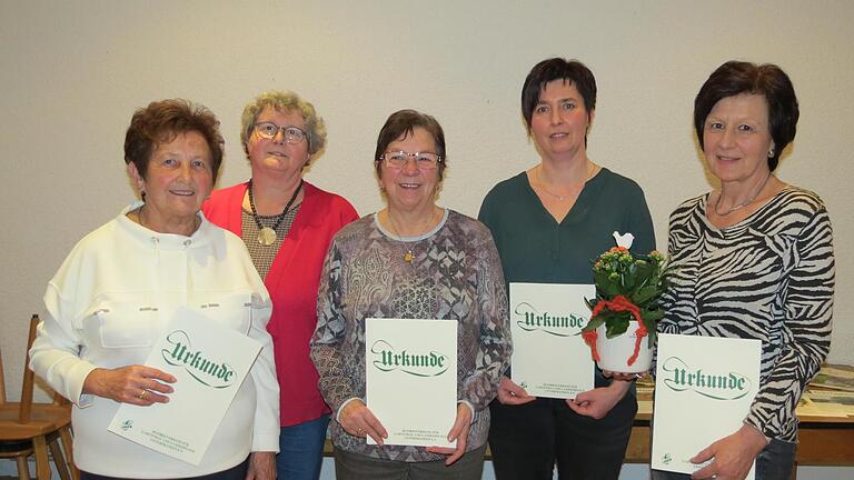 Die Geehrten (von links) Irmgard Neumann (in Vertretung für Christine Gründler), Ruth Geyer (Landesverband), Helga Fell, Nicole Lippert und Birgit Deufert       -  Die Geehrten (von links) Irmgard Neumann (in Vertretung für Christine Gründler), Ruth Geyer (Landesverband), Helga Fell, Nicole Lippert und Birgit Deufert