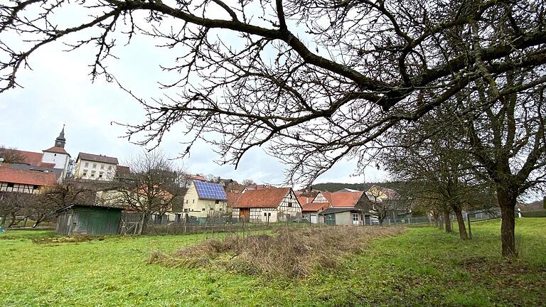 Ein Bauwilliger möchte auf einer freien Fläche an der Seestraße in Frickenhausen mehrere Tiny-Häuser errichten. Der kleine Frickenbach könnte die Pläne zunichtemachen. Ein Bauwilliger möchte auf einer freien Fläche an der Seestraße in Frickenhausen mehrere Tiny-Häuser errichten. Der kleine Frickenbach könnte die Pläne zunichtemachen.