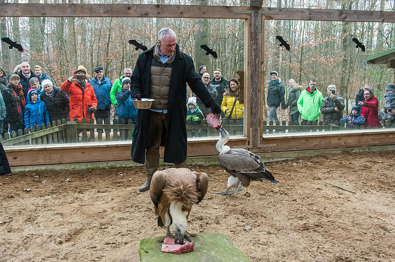 Ein Spektakel: Thomas Leier füttert die Gänsegeier.&nbsp;