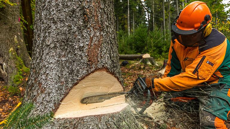 Die einen bekommen viel Geld fürs Holz, die anderen wenig: Der Markt ist im Ungleichgewicht, was zum aktuellen Holzmangel beigetragen hat.