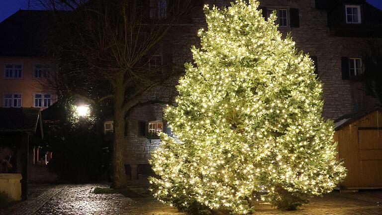 Auf dem Babenbergplatz feiern die Frickenhäuser ihre Dorfweihnacht. Deshalb ist heuer auch der prächtige Weihnachtsbaum dorthin umgezogen.