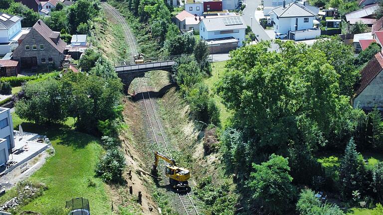 Die Bahn rodet an der Saaletalbahn quer durch Hammelburg Bäume und Sträucher, um die Sicherheit des Bahnbetriebes zu gewährleisten.&nbsp;&nbsp;