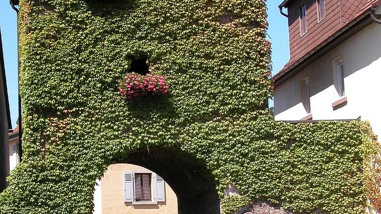 Das Rienecker Tor, auch Untere Tor genannt, in Burgsinn. Das Rienecker Tor, auch Untere Tor genannt, in Burgsinn.