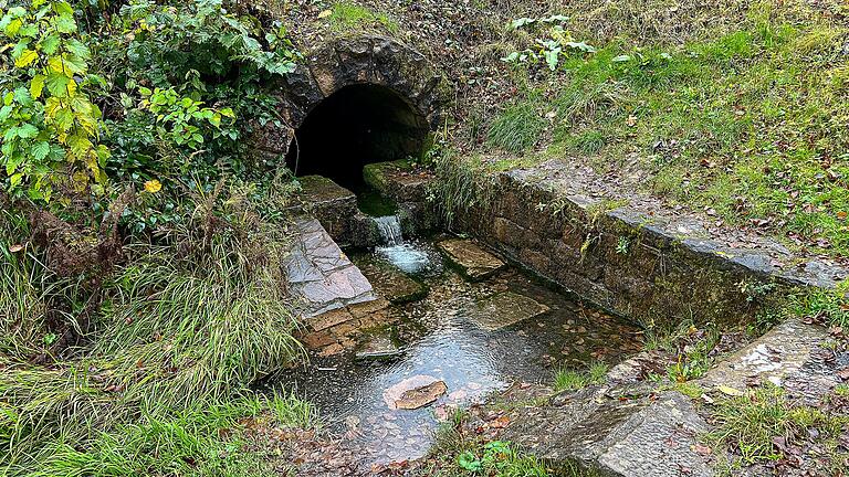 Noch fließen tausende Liter bestes Quellwasser aus der Schwarzengrundquelle davon. Im kommenden Jahr soll die Quelle neu gefasst werden und als zweites Standbein in das Trinkwassernetz eingespeist werden.