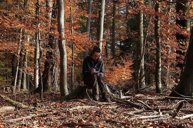 Das Projekt hat gezeigt: Naturerleben hat nachweislich einen positiven Einfluss auf die psychische Gesundheit.