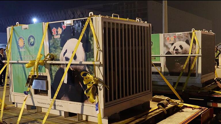 Riesenpandas auf dem Weg von China in die USA       -  Flauschige Fracht: Bao Li und Qing Bao vor ihrer Abreise nach Washington.