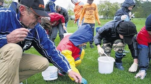 Alt und Jung waren zwei Tage lang auf dem Sportplatz des FC Roden hinter Regenwürmern her.