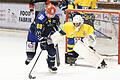 Dylan Hood (links) konnte den Pfaffenhofener Torhüter Jonathan Kornreder beim 3:1-Sieg der Mighty Dogs Schweinfurt ein Mal überwinden.