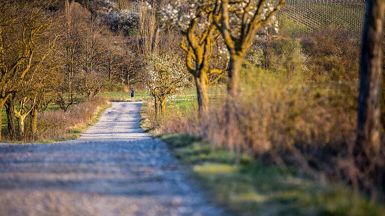 Die Gemeinde Riedbach legt großen Wert darauf, dass die öffentlichen Flurwege in einem guten Zustand bleiben. Bei dem Foto hier handelt es sich allerdings um ein Symbolbild.