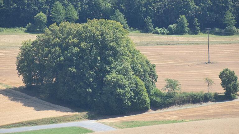 Versteckt hinter dichtem Grün liegt ein idyllischer Ort, der von Radlern meist übersehen wird. Versteckt hinter dichtem Grün liegt ein idyllischer Ort, der von Radlern meist übersehen wird.