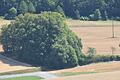 Versteckt hinter dichtem Grün liegt ein idyllischer Ort, der von Radlern meist übersehen wird.