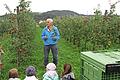 Die Kinder besuchen die Obstplantage von Schmitts Obstgarten.       -  Die Kinder besuchen die Obstplantage von Schmitts Obstgarten.