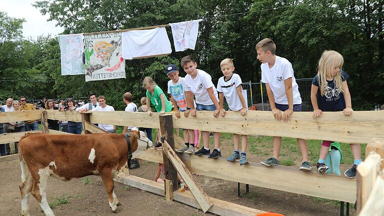 Die Jungkuh Isa war die Hauptfigur des "Kuhfladenbingos" beim Geburtstagsfest der Katholischen Landjugendbewegung Retzstadt. Die Jungkuh Isa war die Hauptfigur des "Kuhfladenbingos" beim Geburtstagsfest der Katholischen Landjugendbewegung Retzstadt.