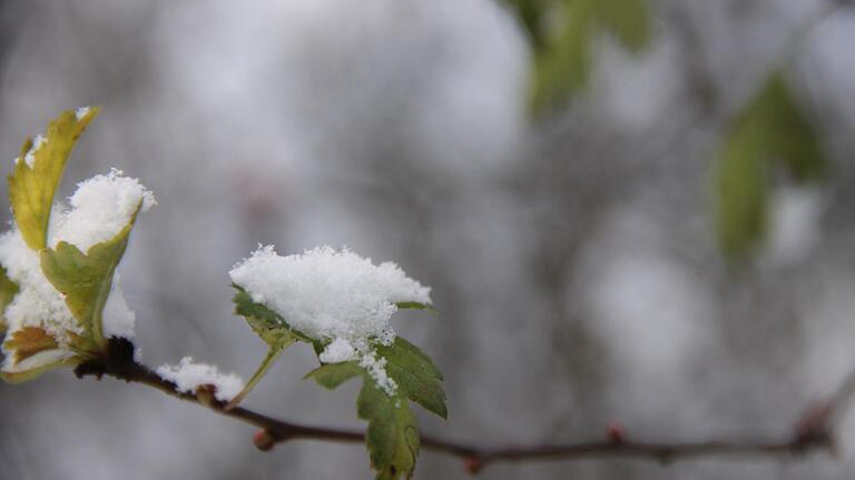 Winterliche Natur im Landkreis Haßberge.