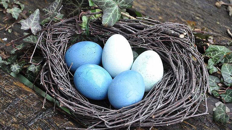 Je länger die Eier im Blaukrautsud liegen, desto intensiver wird das Blau.