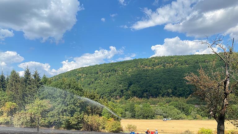 Gegenüber von Gemünden hat eine Wiese und ein angrenzender Waldrand gebrannt.