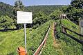 Schön grün: Wird die im Sommer 2011 eingerichtete &bdquo;Dirt-Strecke&ldquo; (Berg-und-Tal-Parcours für Fahrradfahrer) hinter den Mainfränkischen Werkstätten überhaupt noch genutzt?