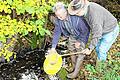Michael Seitz und Gerhard Kaiser von den Drei-Franken-Fischern Geiselwind setzen Schmerlen in den Haselbach bei Rehweiler ein.