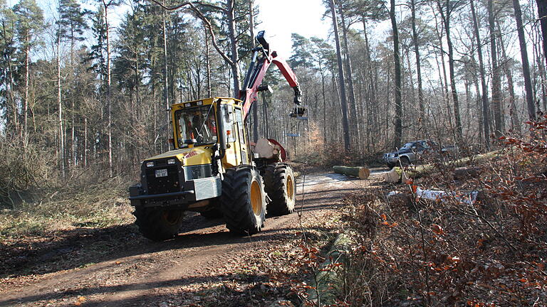 Forstunternehmer Klaus Bergmann rückt mit seinem Forstknickschlepper Holz im Wald zwischen Eichelsdorf und Manau.