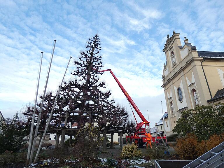 Mit Hubsteiger und vereinten Kräften brachten die Mitarbeiter des gemeindlichen Bauhofs die Lichterkette an der Stufenlinde vor der Pfarrkirche St. Peter und Paul in Grettstadt an.