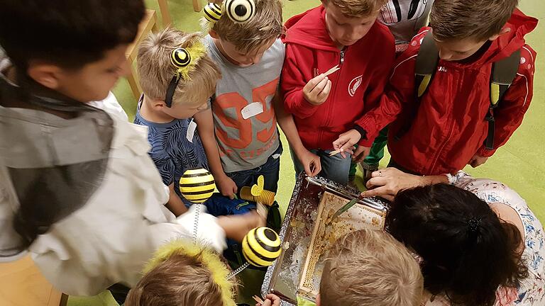 Die Leckereien direkt aus Bienenwabe begeisterten die jungen Besucher.