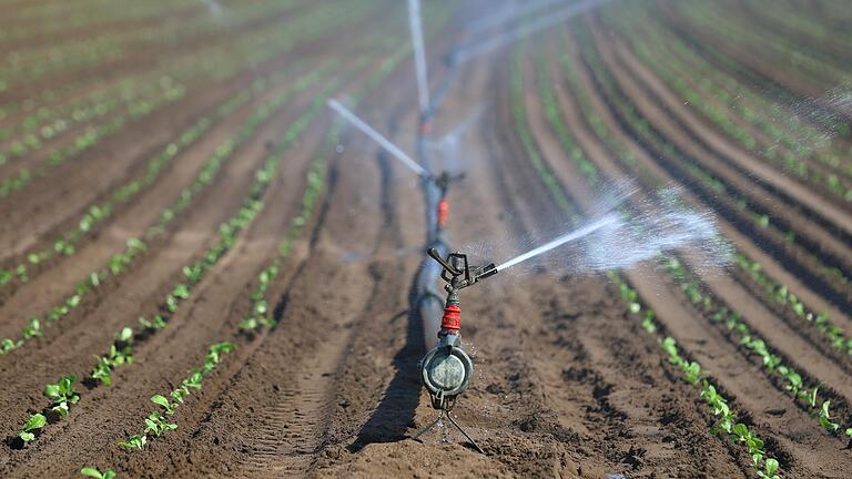 Nicht nur Iphöfer Winzer brauchen Wasser, sondern auch Etwashäuser Gärtner, heißt es im Kitzinger Stadtrat. Nicht nur Iphöfer Winzer brauchen Wasser, sondern auch Etwashäuser Gärtner, heißt es im Kitzinger Stadtrat.