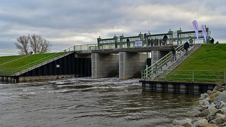 Wasser strömt in den Nationalpark Unteres Odertal - Im Nationalpark Unteres Odertal wurden Polder geflutet. Wasser strömt in den Nationalpark Unteres Odertal - Im Nationalpark Unteres Odertal wurden Polder geflutet.