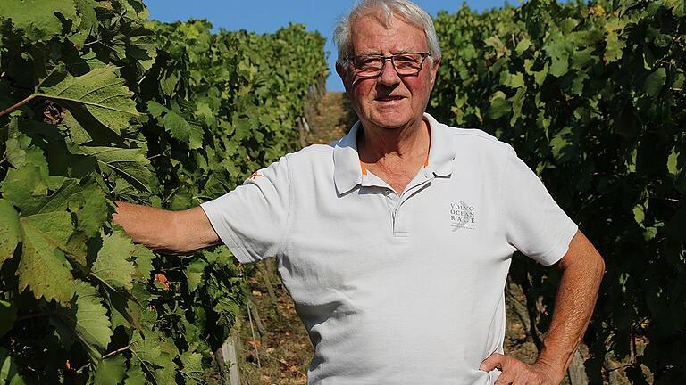 Werner Ach ist mit seinen sieben Rebzeilen einer der letzten Hobbywinzer am Arlesgarten. Bisher ist es ihm nicht gelungen, einen Nachfolger für seinen kleinen Weinberg zu finden. Werner Ach ist mit seinen sieben Rebzeilen einer der letzten Hobbywinzer am Arlesgarten. Bisher ist es ihm nicht gelungen, einen Nachfolger für seinen kleinen Weinberg zu finden.