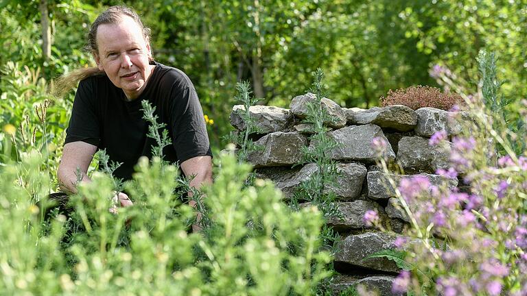 Artenvielfalt im Muschelkalk: Gerhard Schneider kultiviert in seinem naturnahen Garten bevorzugt regionale Pflanzen, die Wildbienen und Hummeln als Nahrungsquelle dienen.