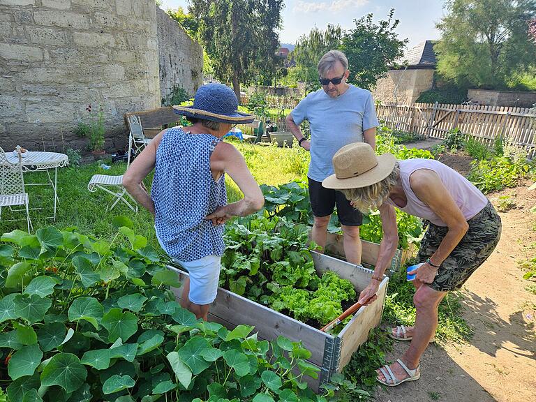 Miteinander gärtnern und der soziale Austausch sind für die Pioniere im Sommerhäuser Gemeinschaftsgarten ein hoch befriedigendes Projekt. Im Bild: Elisabeth Deppisch, Arnd Bartel und Sonja Schönleber (von links).