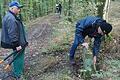 Am Wegesrand wurden die Steine gebürstet und entmoost.