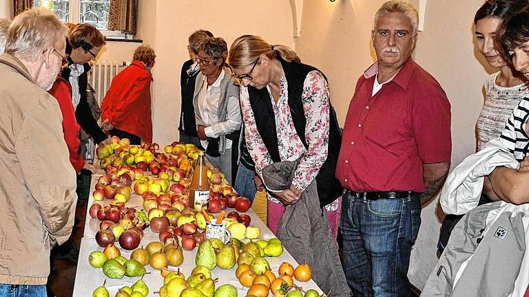 Verschiedene Apfel- und Birnensorten durften die Teilnehmer der Öko-Erlebnistour auf Schloss Gut Obbach im Rahmen der bayerischen Öko-Erlebnistage bestaunen und probieren.