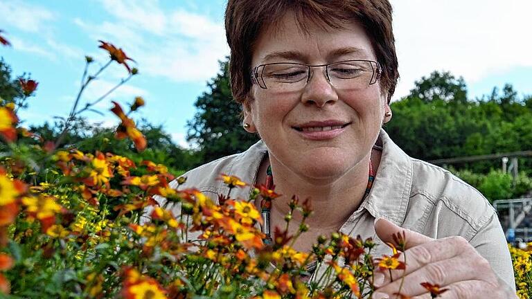 Biologin Ingrid Illius zeigt einen Zweizahn, den Bienen besonders mögen, auf dem Forschungsgelände der Landesanstalt für Wein- und Gartenbau.