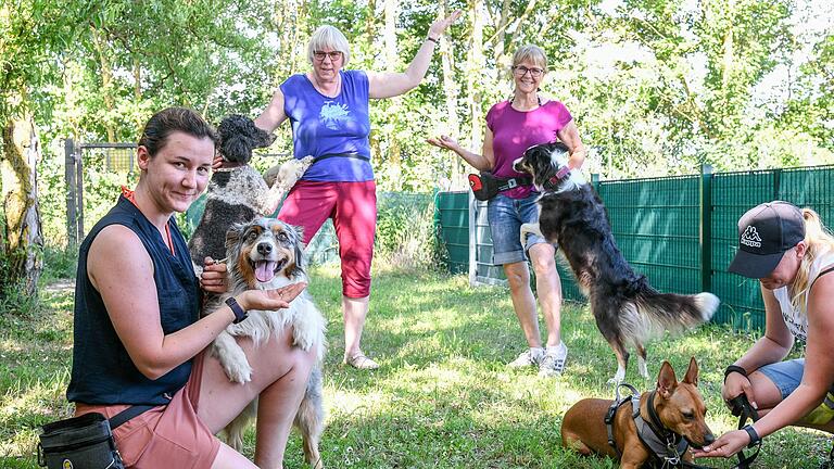 Der Kitzinger Hundesportverein bietet neben seinen klassischen Erziehungskursen auch einen Dogdance-Kurs für Mitglieder an. Dabei lernen die haarigen Vierbeiner ganze Choreografien mit Trainerinnen Lydia Neubert (hinten rechts) und Jutta Bücherl (hinten links).