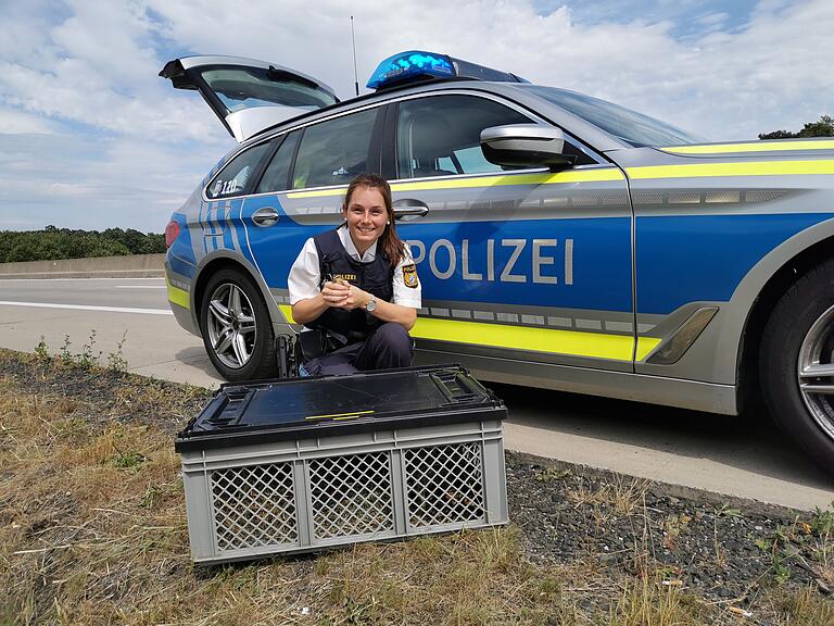 Kükenrettung auf der A71 bei Bad Neustadt.