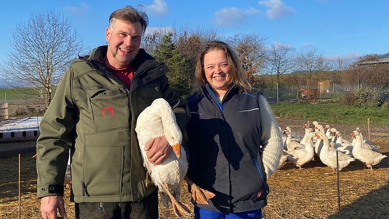 Rund 1000 Gänse haben Daniela und Christian Hoch auf ihrem Hof in Eußenhausen für Martini und das Weihnachtsgeschäft aufgezogen.