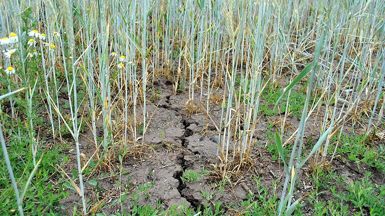 Das trockene Grabfeld ist eine Herausforderung, für Landwirtschaft wie auch für Kommunen. Bringt das Konzept der Schwammdörfer die Lösung? Dazu wird es im Mai einen Vortrag geben.